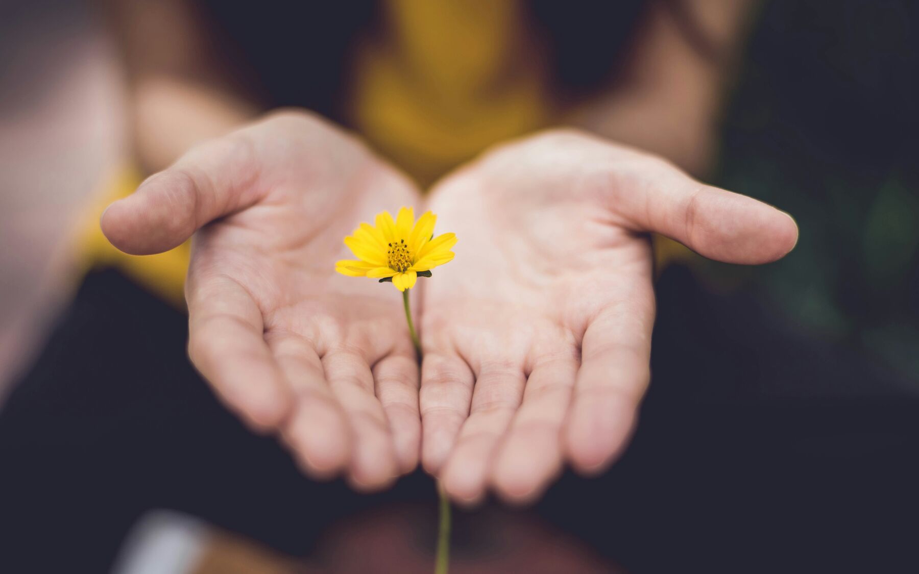 woman holding flower with open palms