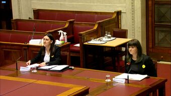 Lauren and Bex before Justice Committee