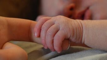 Baby holding mothers hand 6 0