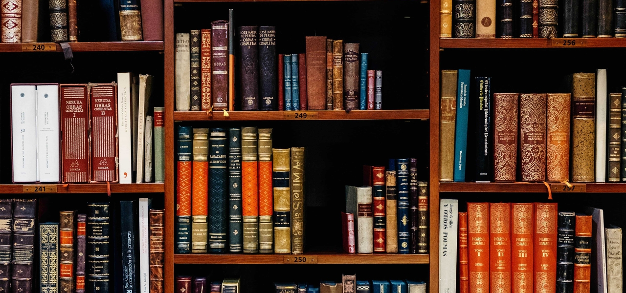 bookcase featuring variety of texts