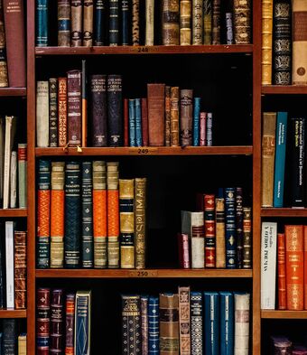 bookcase featuring variety of texts