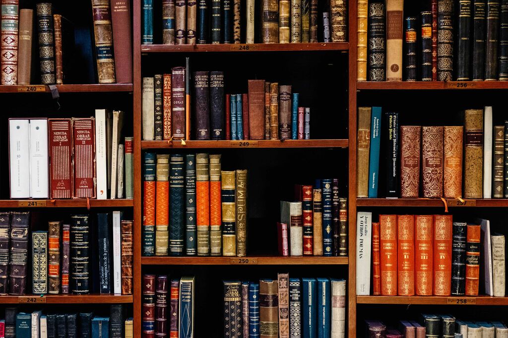 bookcase featuring variety of texts