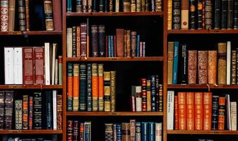 bookcase featuring variety of texts