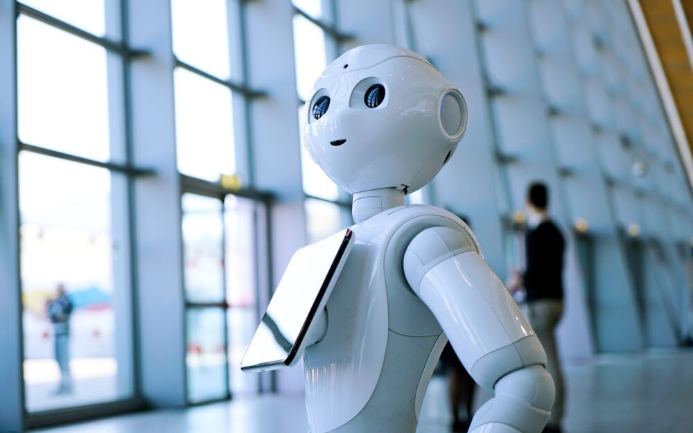 Robot pepper