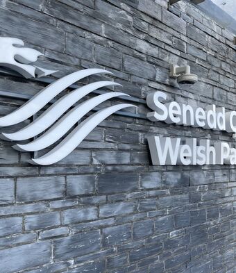 Senedd