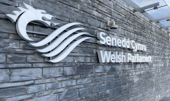 Senedd