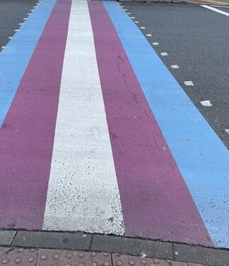 Trans themed crossing