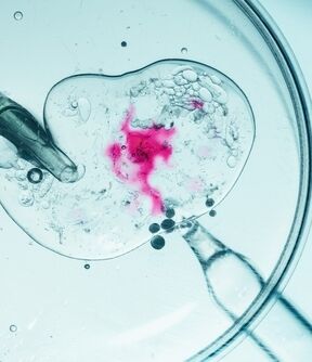Embryo being fertilised in IVF