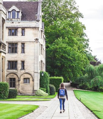 University student learning