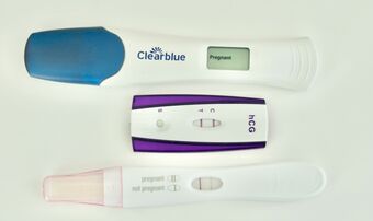 Pregnancy Test