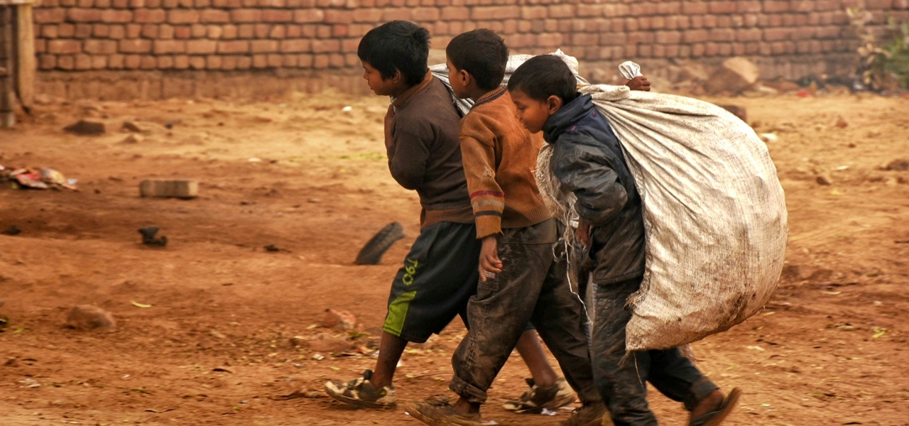Forced Labour
