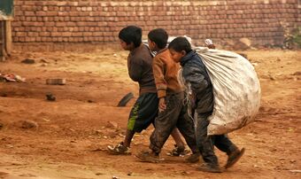 Forced Labour