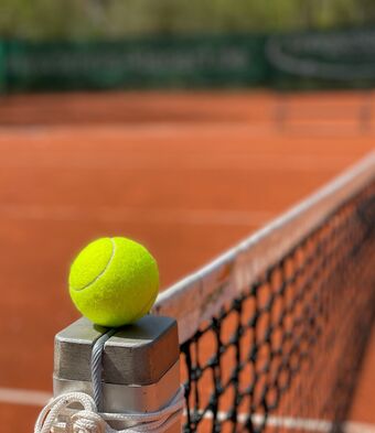 Tennis court ball net
