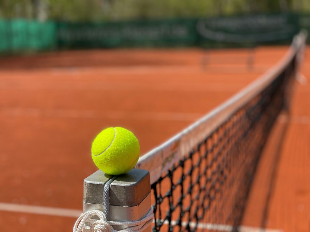 Tennis court ball net