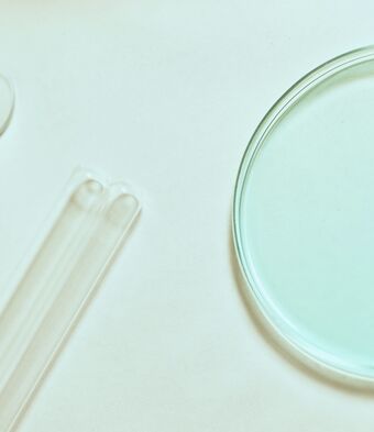 Petri dish virus lab