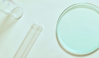 Petri dish virus lab